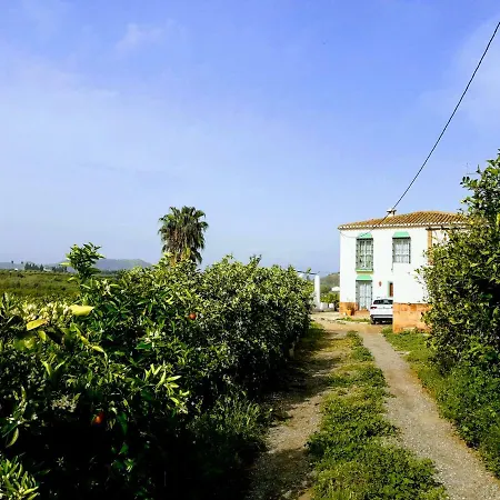 La Estrella Pizarra